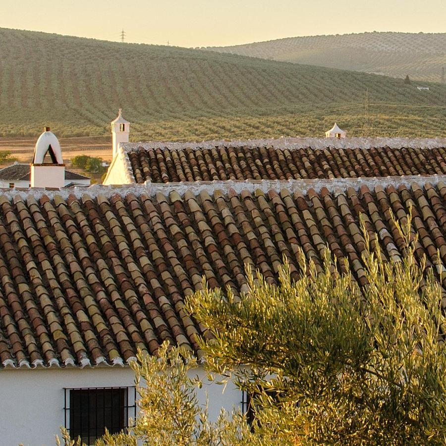 Cortijo Alzamigaja Archidona Exterior foto