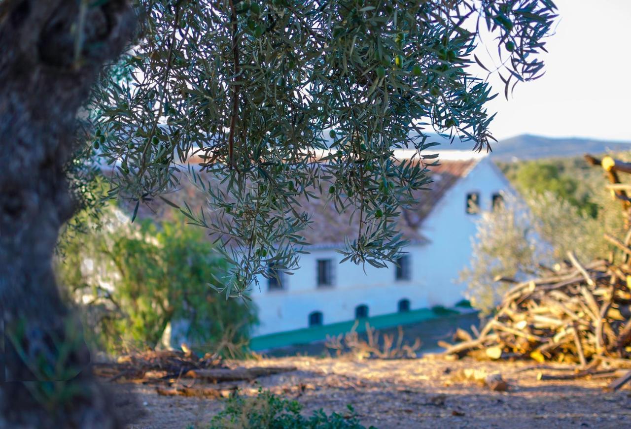 Cortijo Alzamigaja Archidona Exterior foto