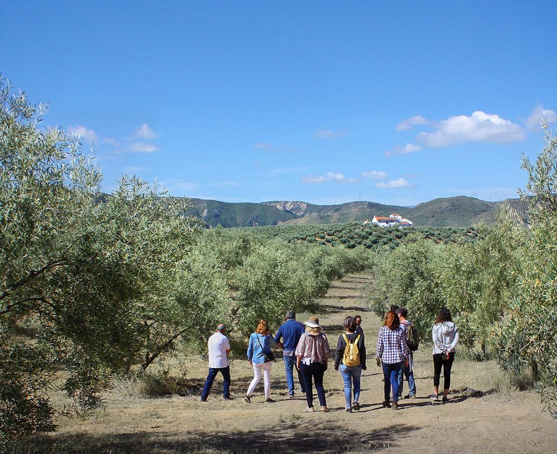 Cortijo Alzamigaja Archidona Exterior foto
