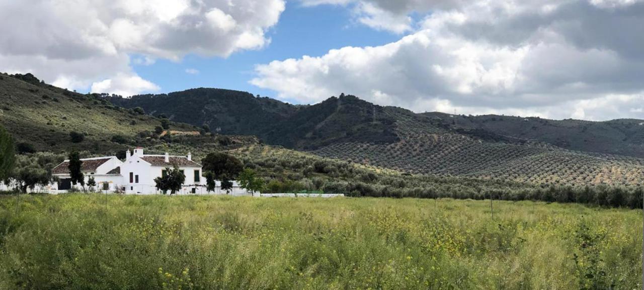Cortijo Alzamigaja Archidona Exterior foto
