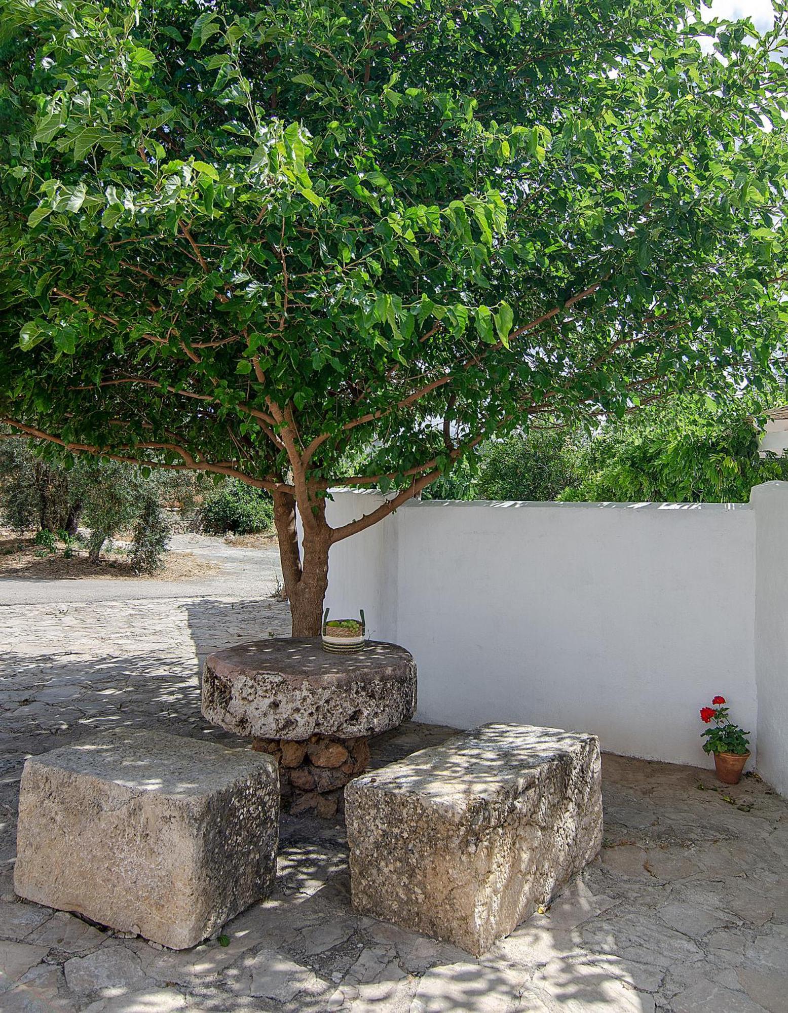 Cortijo Alzamigaja Archidona Exterior foto